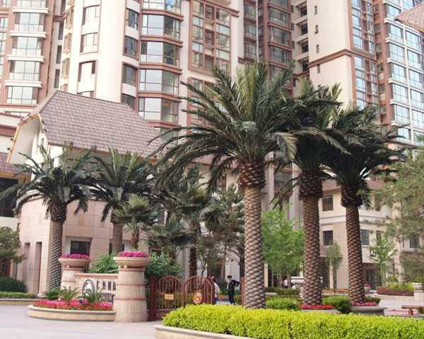 仿真椰子樹(shù)